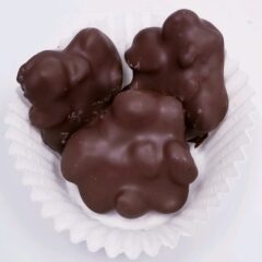 Chocolate Dipped Raisin clusters