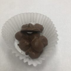 Macadamia nut clusters milk chocolate