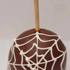 Spider Web Caramel apple