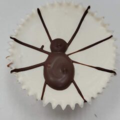 Giant peanut butter cream cup with spider!