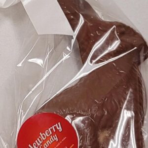 Solid dark chocolate bunny