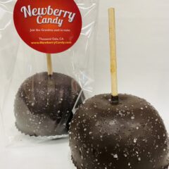 Salted chocolate caramel apple