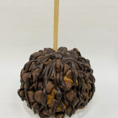 Chocolate chip caramel apple