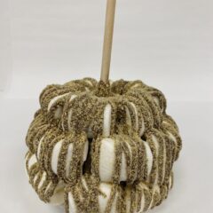 S’mores caramel apple